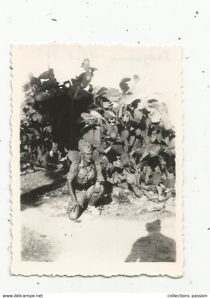 Photographie , Issue D'un Album , Militaria , Militaire ,1947, Tunisie, SEDJOUNI - War, Military