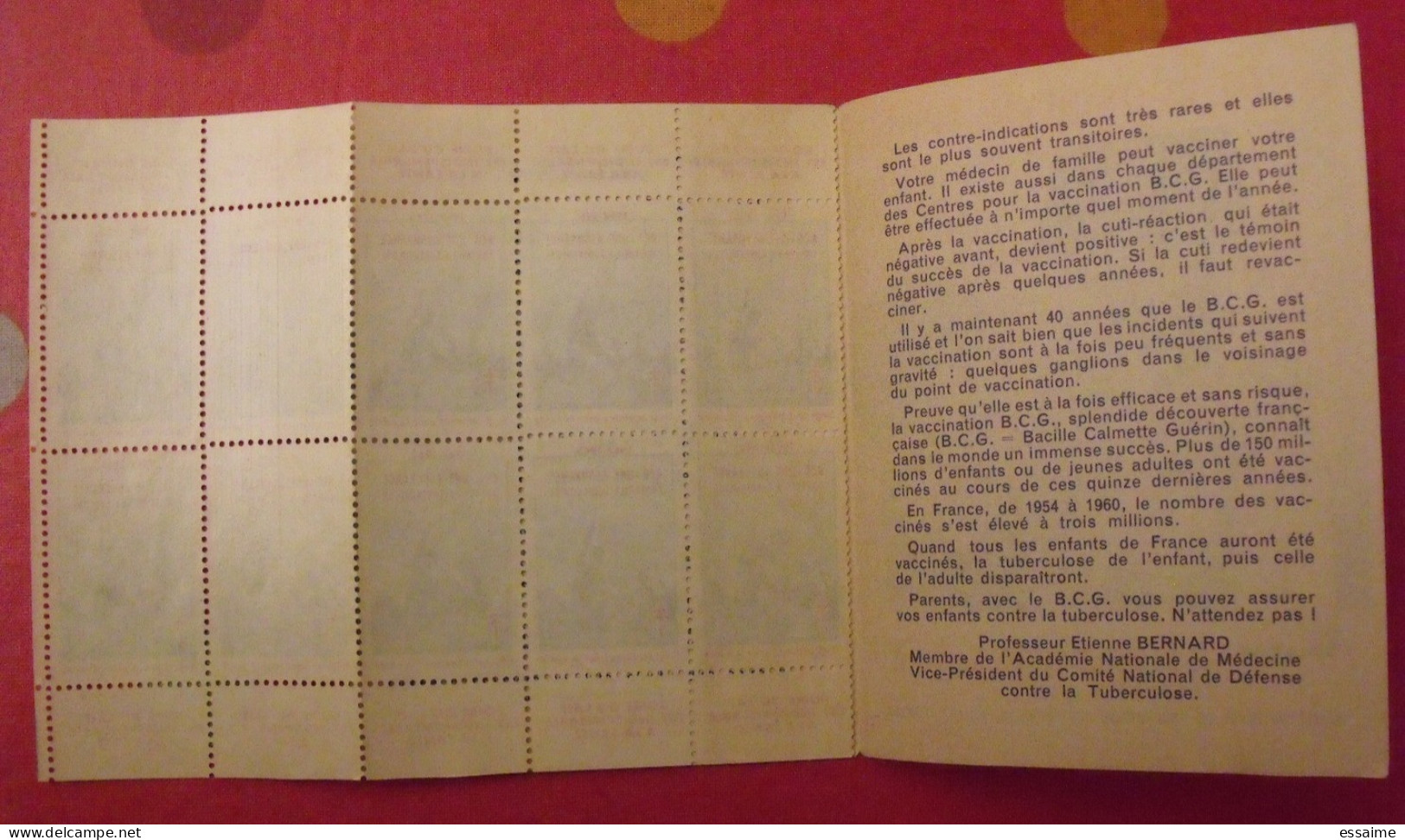 Carnet De Timbres Antituberculeux 1962-63. Pub Buvez Du Lait, Savon. Tuberculose Anti-tuberculeux. - Tegen Tuberculose