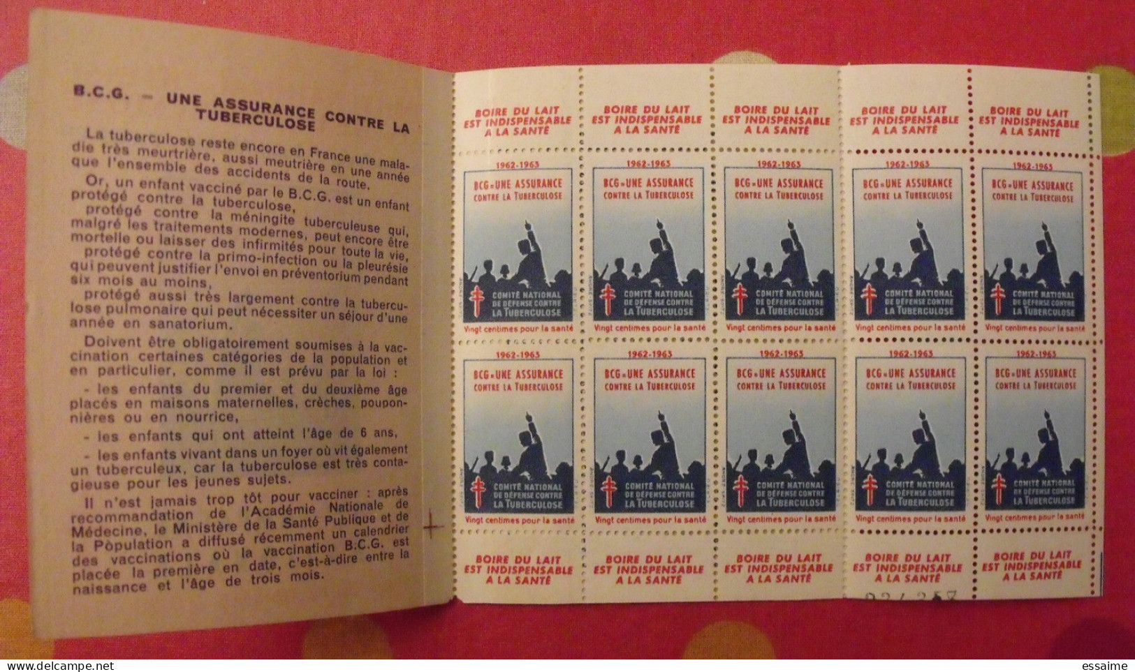 Carnet De Timbres Antituberculeux 1962-63. Pub Buvez Du Lait . Tuberculose Anti-tuberculeux. - Tegen Tuberculose