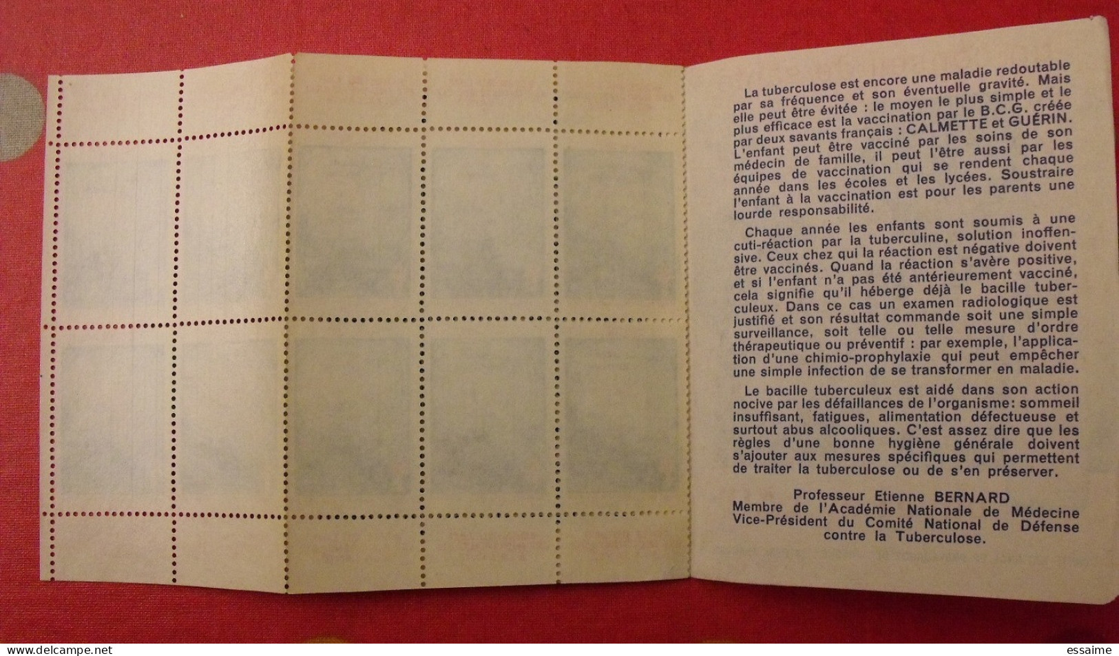 Carnet De Timbres Antituberculeux 1963-64. Pub Buvez Du Lait . Tuberculose Anti-tuberculeux. - Tuberkulose-Serien