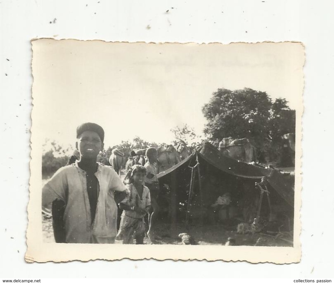 Photographie, Issue D'un Album,mon Service Militaire En Tunisie, NOMADES A SEDJOUNI,1947 - Luoghi