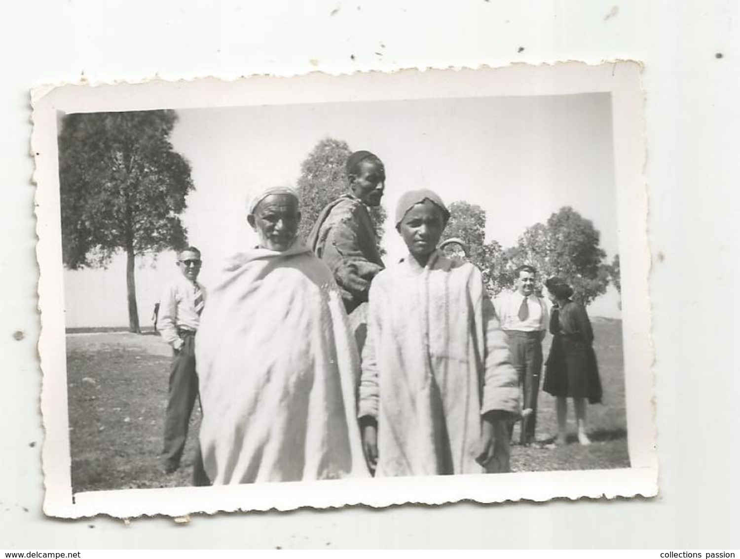 Photographie, Issue D'un Album,mon Service Militaire En Tunisie, MEDJEZ EL BAB ,1947 , Chameau - Luoghi