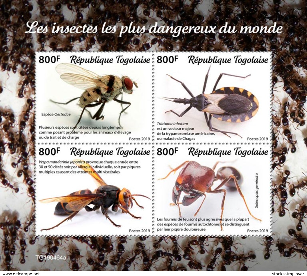 Togo 2019 Fauna  Most Dangerous Insects In The World  S201911 - Togo (1960-...)