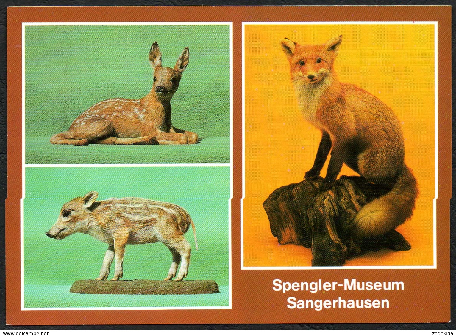 D2265 - TOP Sangerhausen Spengler Museum - Verlag Bild Und Heimat Reichenbach - Sangerhausen