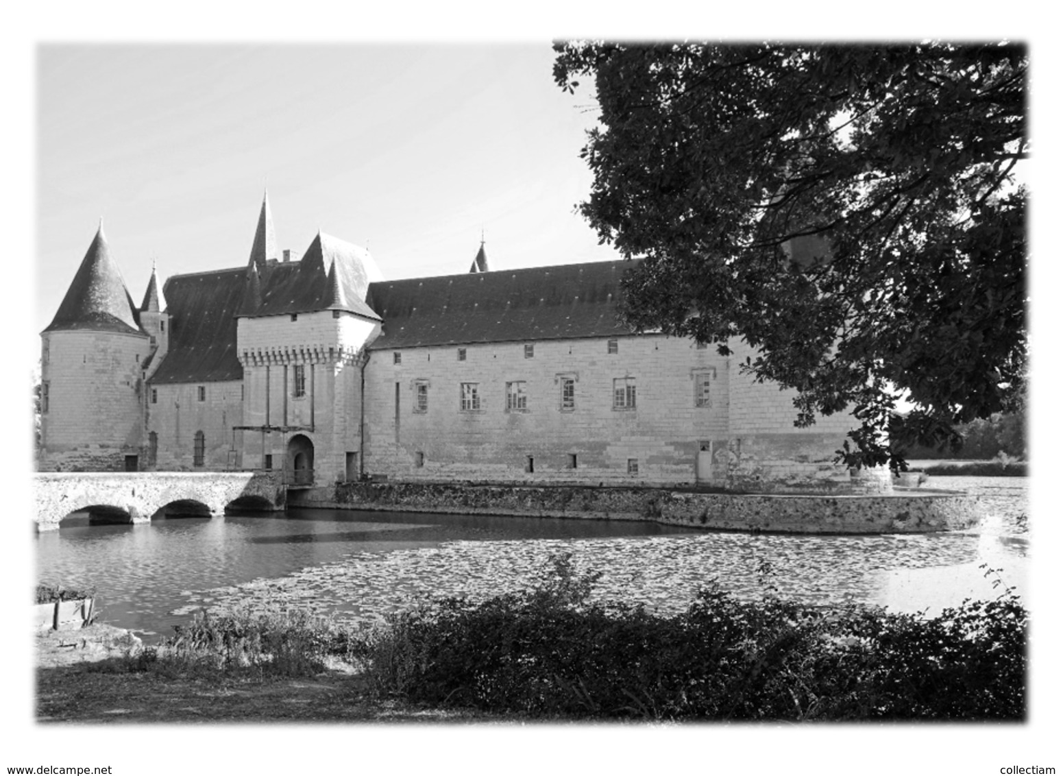 ECUILLE - Château Du Plessis-Bourré - Autres & Non Classés