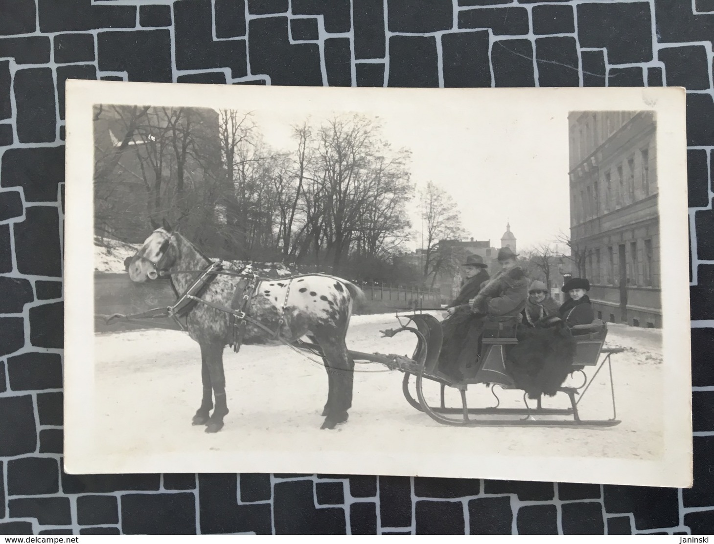 Foto AK Pferd, Kutsche, Schlitten Mit Menschen ( 1285) - Cavalli