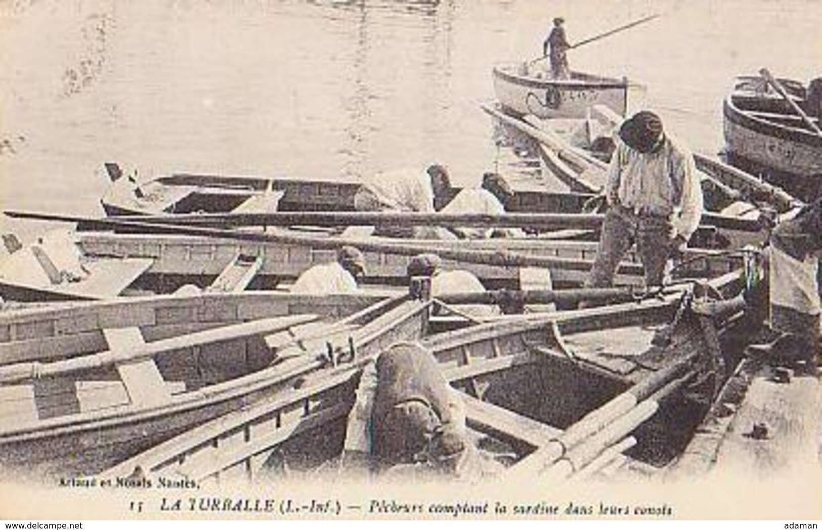 Loire Atlantique        861        La Turballe.Pêcheurs Comptant La Sardine Dans Leurs Canots - La Turballe