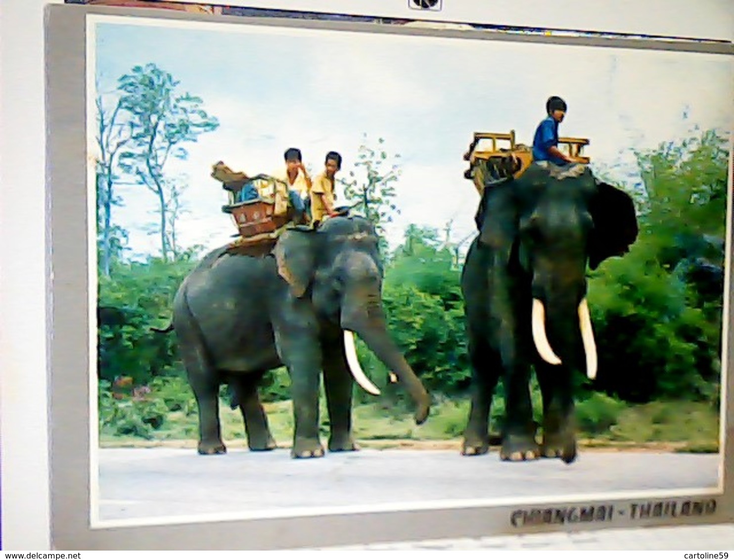 THAILAND  ELEPHANTS  ELEFANTE ELEFANTI V1990  HJ3440 - Tailandia