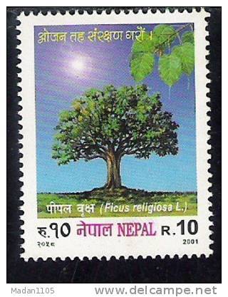 NEPAL 2001   Tree. Yvert 701,1 Stamp Complete,  MNH(**) - Bäume