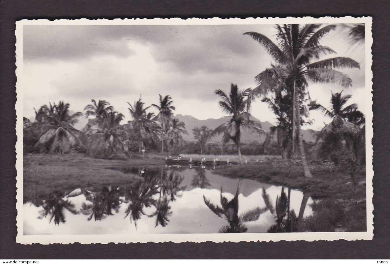 CPSM Ile Maurice Mauritius Afrique Noire Non Circulé - Maurice