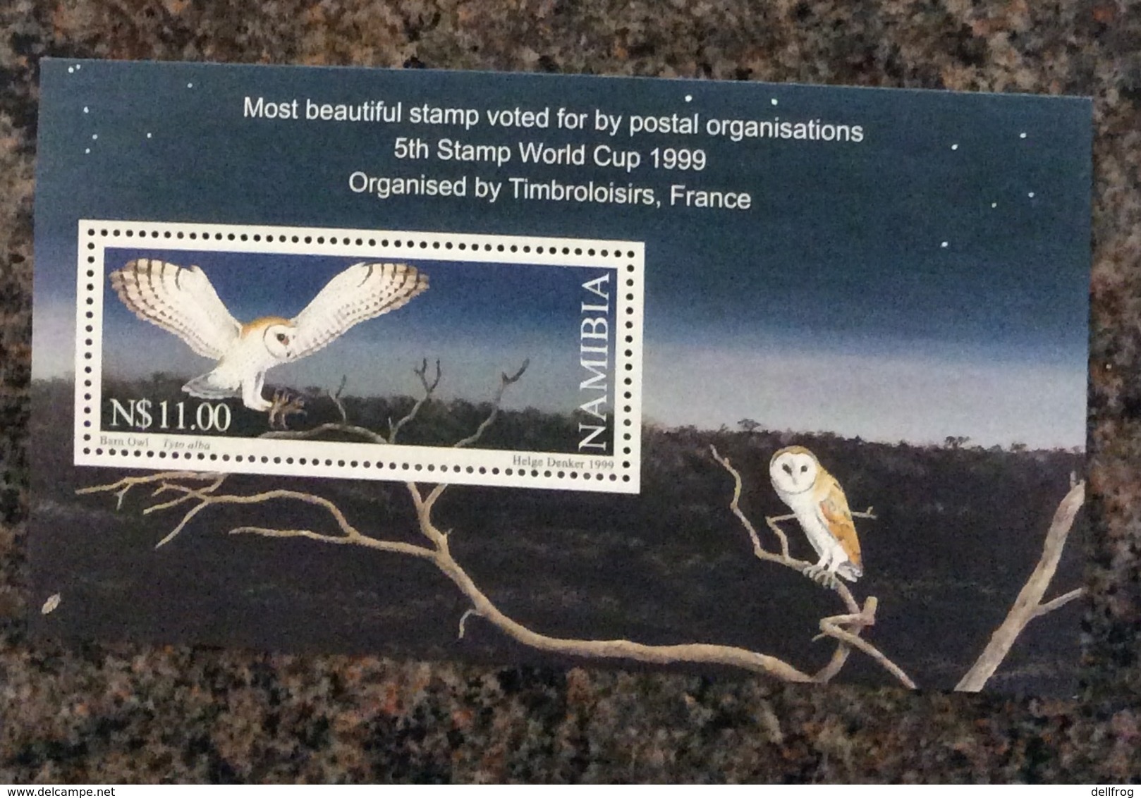 Namibia 1999 Barn Owl Sheet Stamp World Cup France MNH - Owls