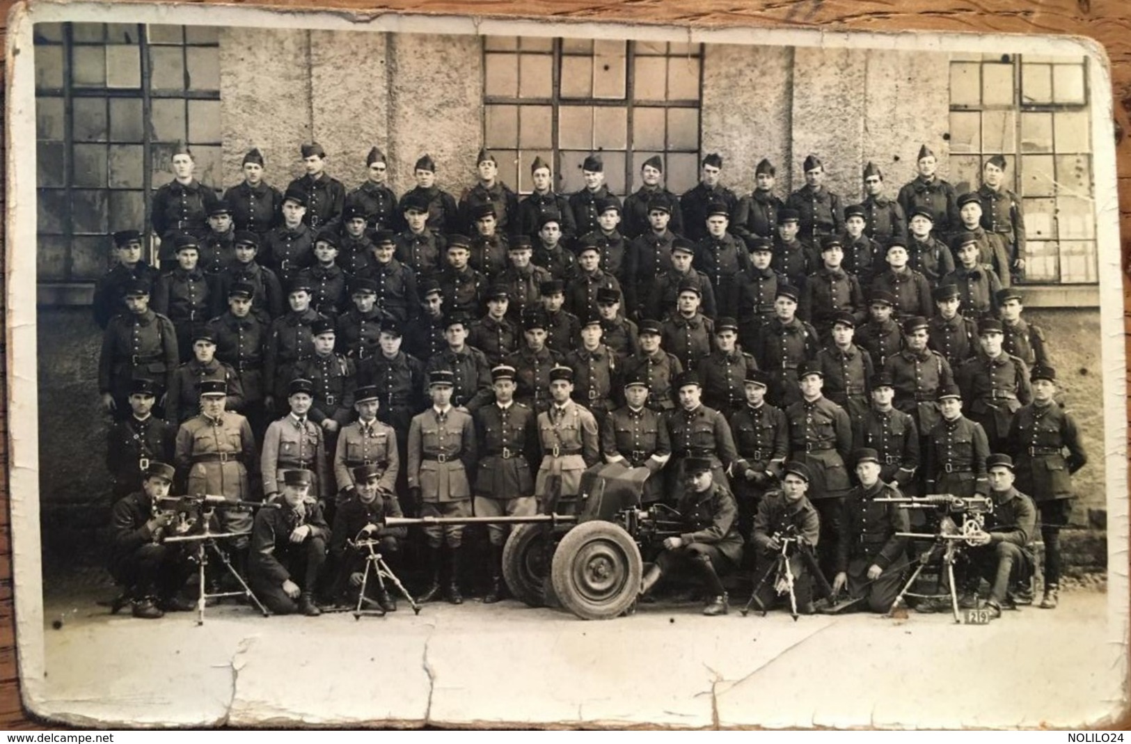 CARTE PHOTO, Régiment (3 ème Ou 5 ème) Avec Armes / Artillerie - Regiments