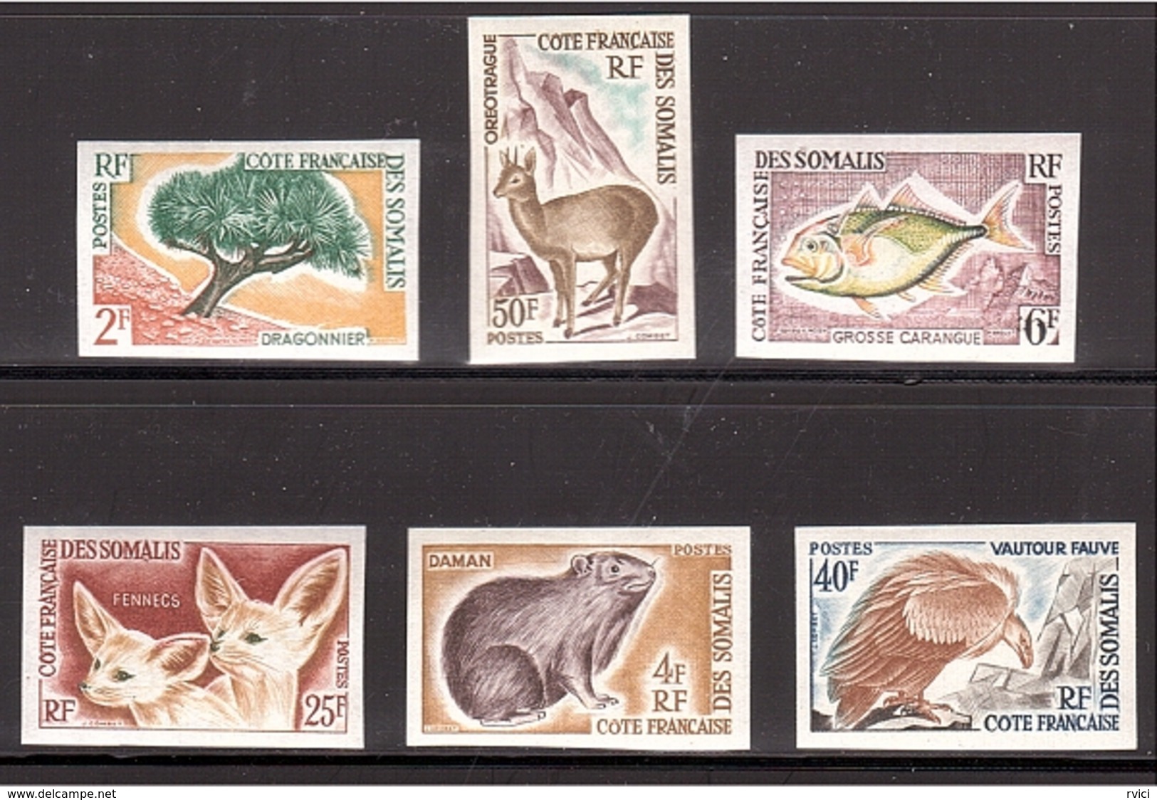 Variétés COLONIES COTE SOMALIS NON-DENTELÉ Série Animaux 1962 ** - Neufs