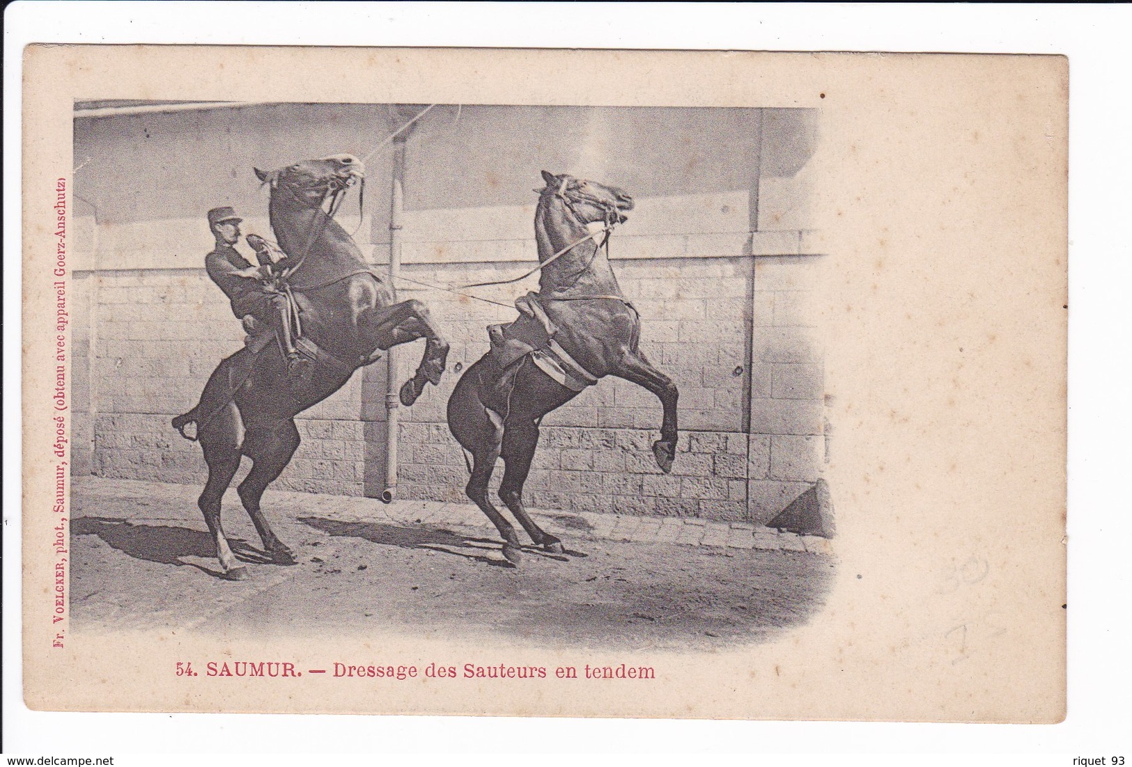 54 - SAUMUR - Dressage Des Sauteurs En Tendem  (école De Cavalerie) - Saumur