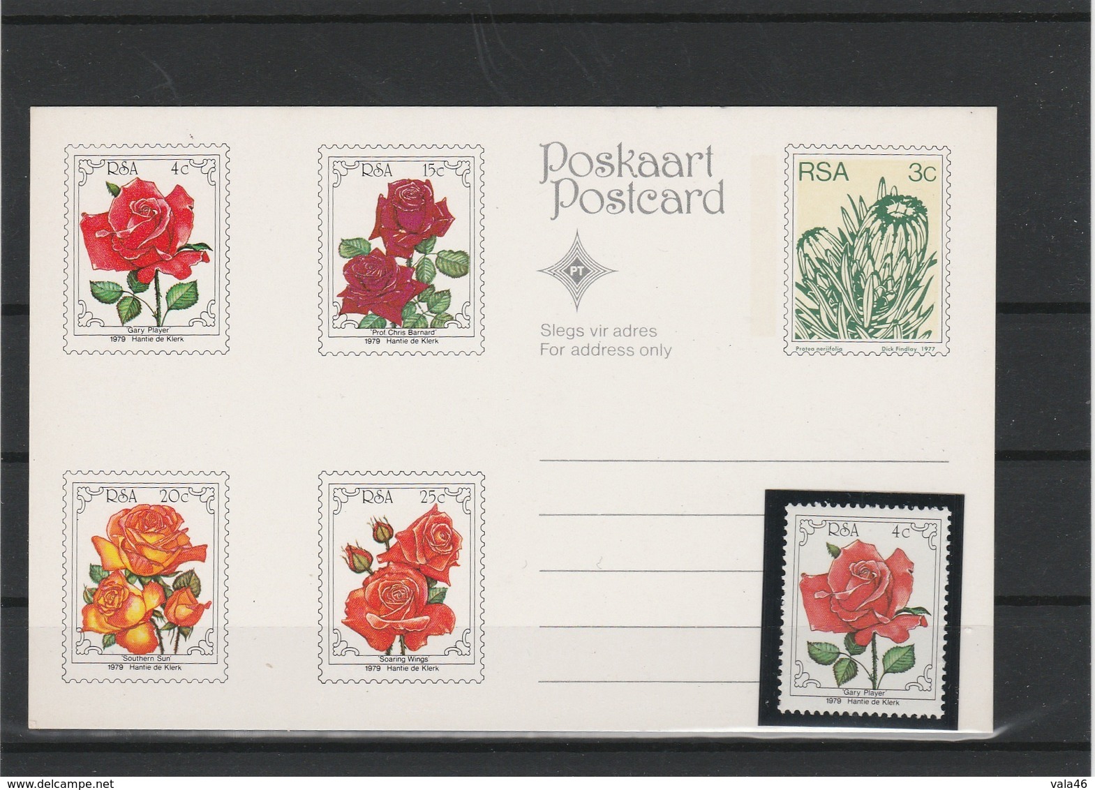 ROSES  AFRIQUE DU SUD   GARY PLAYER ET ENTIER POSTAL COLLECTIF - Roses