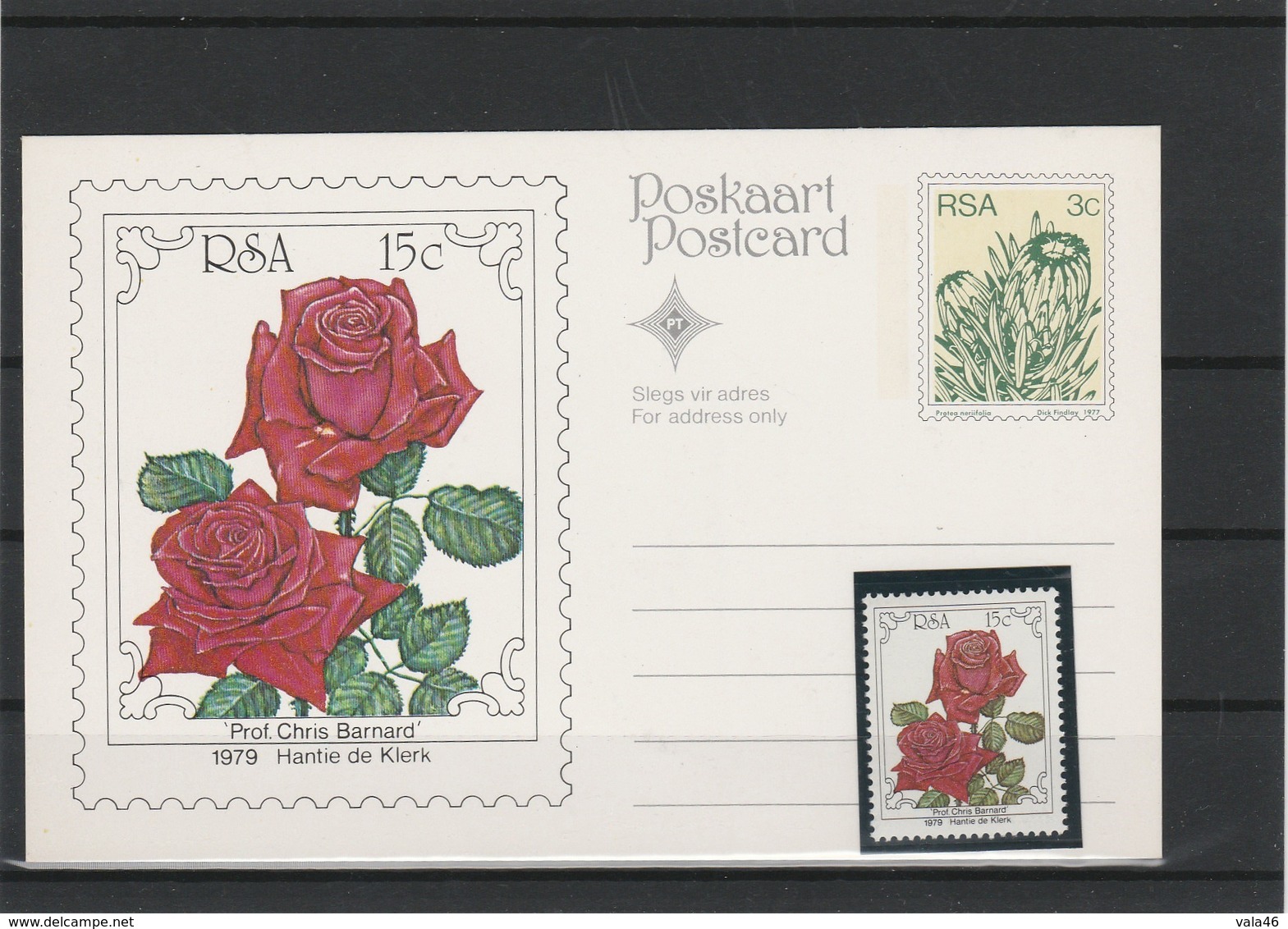 ROSES  AFRIQUE DU SUD PROF. CHRIS  BARNARD  1979 H. DE KLERK  ET ENTIER POSTAL - Roses