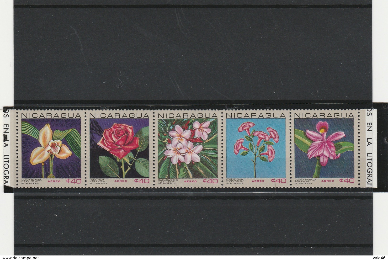 ROSES   NICARAGUA  BANDE COMPLETE  5 VALLEURS - Rose