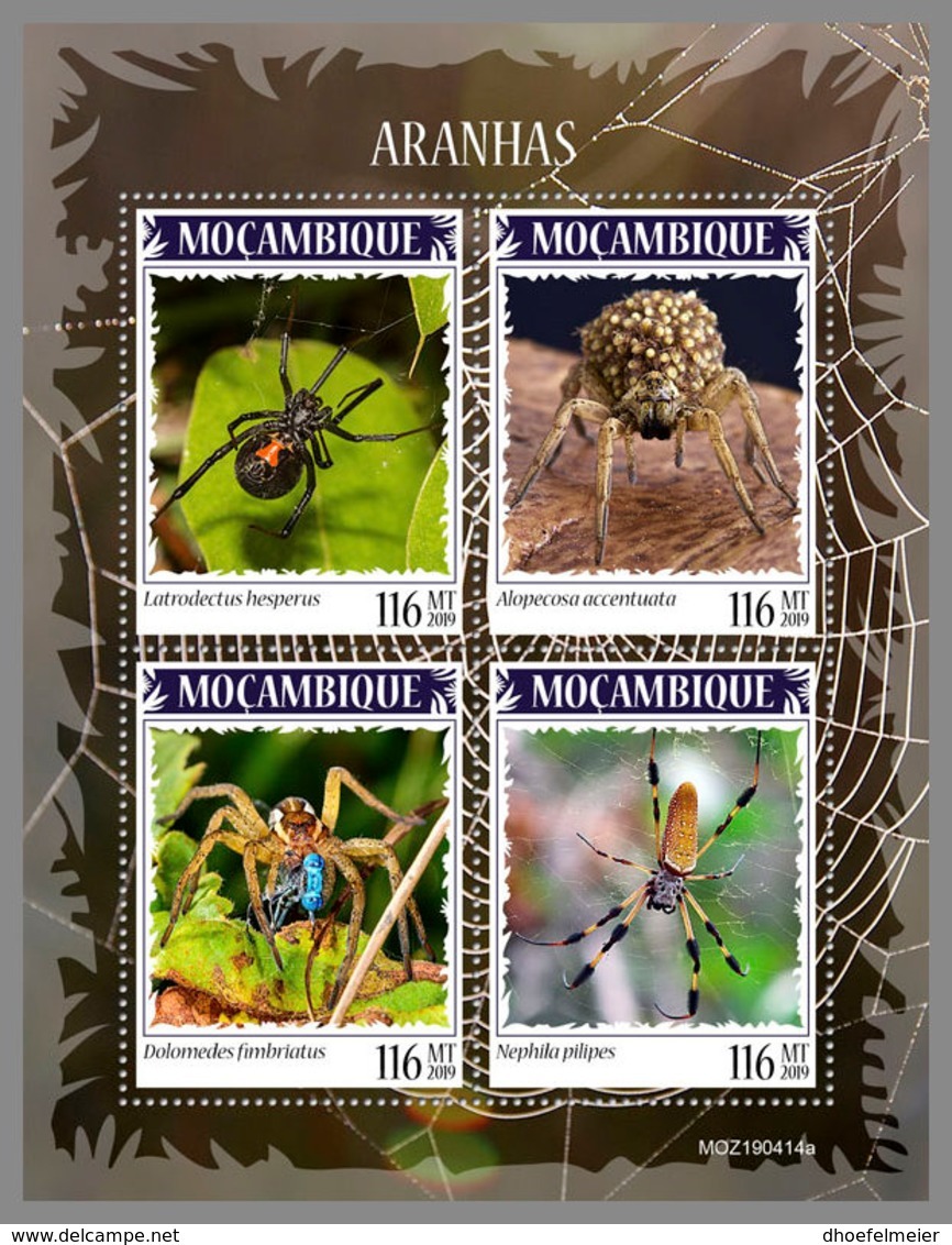 MOZAMBIQUE 2019 MNH Spiders Spinnen Araignees M/S - OFFICIAL ISSUE - DH1941 - Araignées