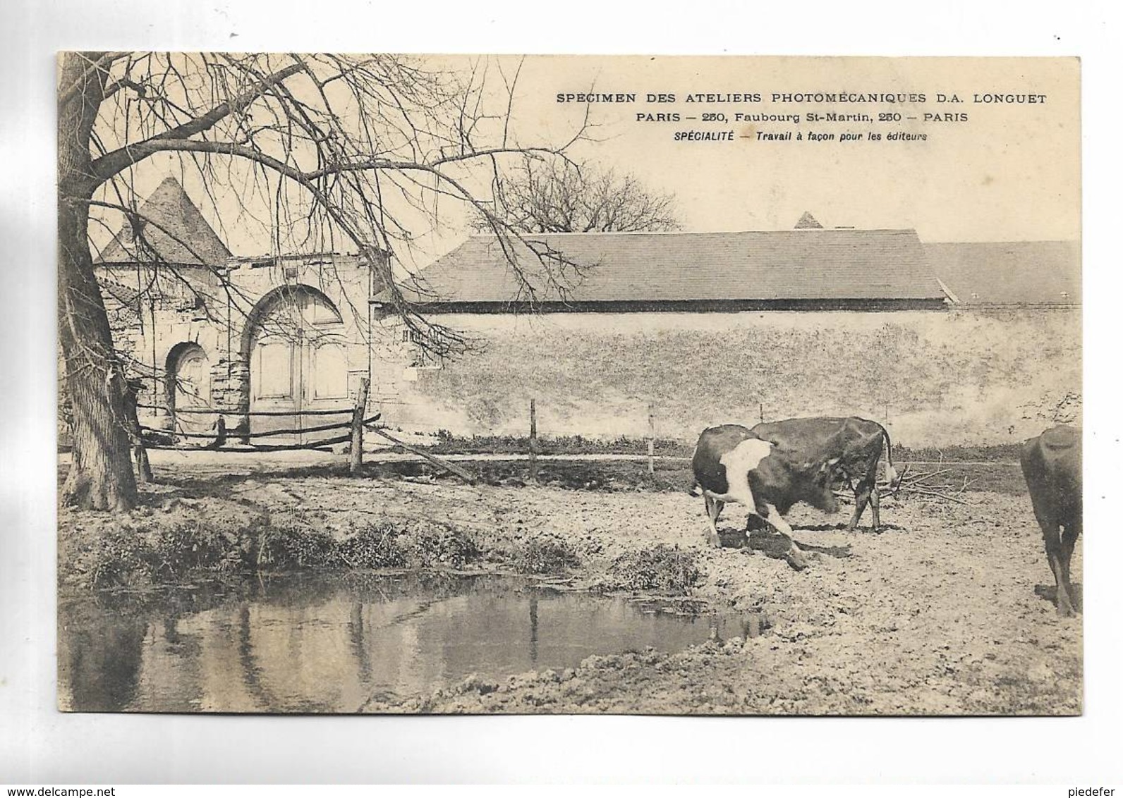 75 - Spécimen Des Ateliers Photomécaniques D.A. Longuet à PARIS, Faubourg St-Martin - Vaches - Autres & Non Classés