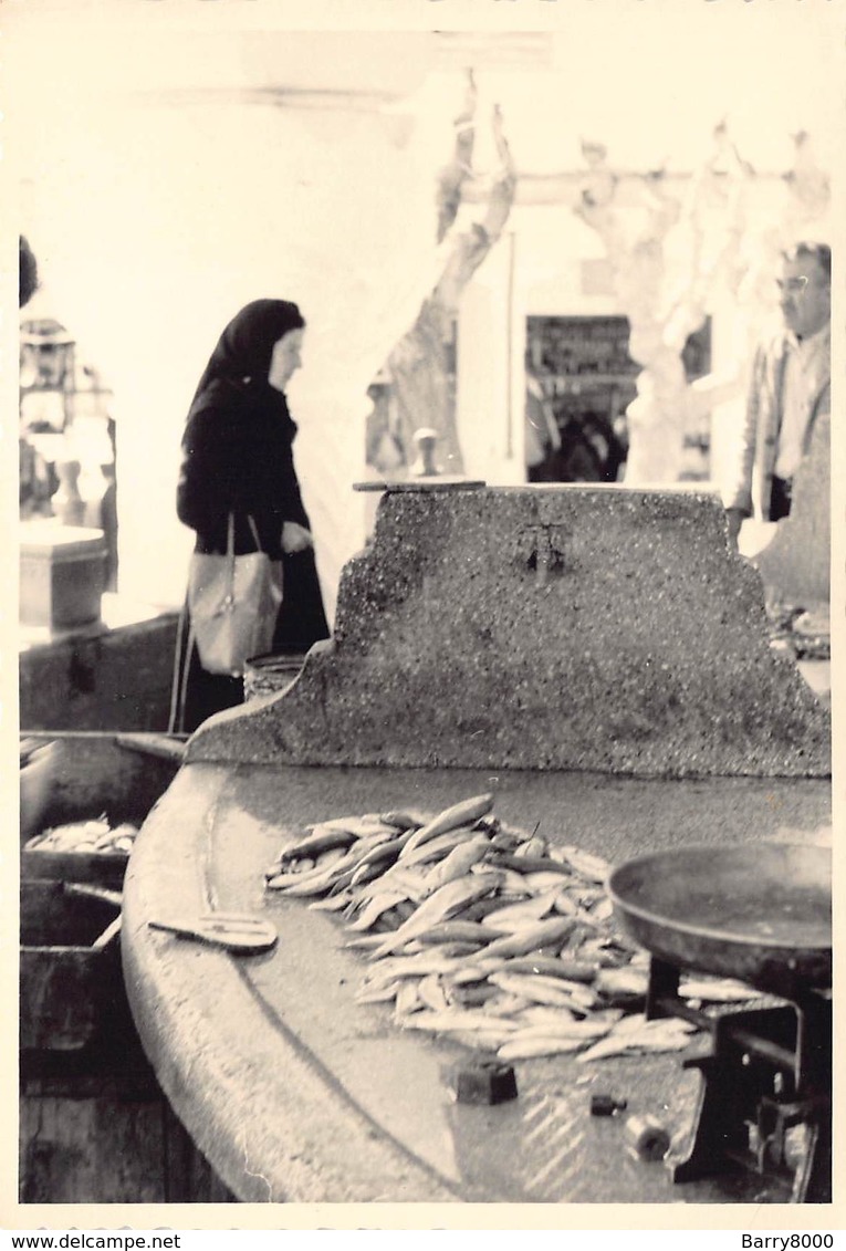 Griekenland Greece Rhodos Baie De Mandraki Haven Port  Fish Market Vismarkt Vis Poissons Photo Foto GEVAERT   Barry 4184 - Griekenland