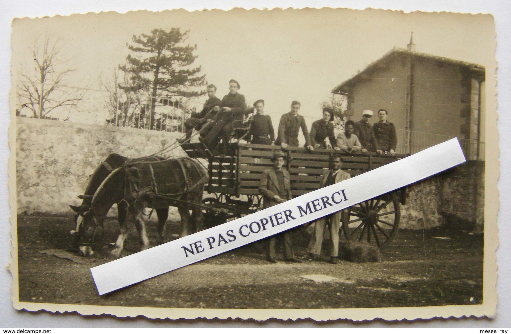 Cheval Voiture De Ravitaillement De L'Hopital De La Valentine Marseille 13 ? Photo Originale Cliché Amateur - Lieux