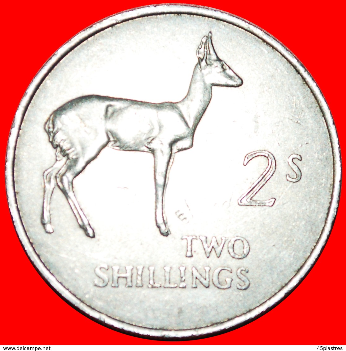 + GREAT BRITAIN: ZAMBIA ★ 2 SHILLINGS 1964 REEDBUCK! LOW START ★ NO RESERVE! - Zambie