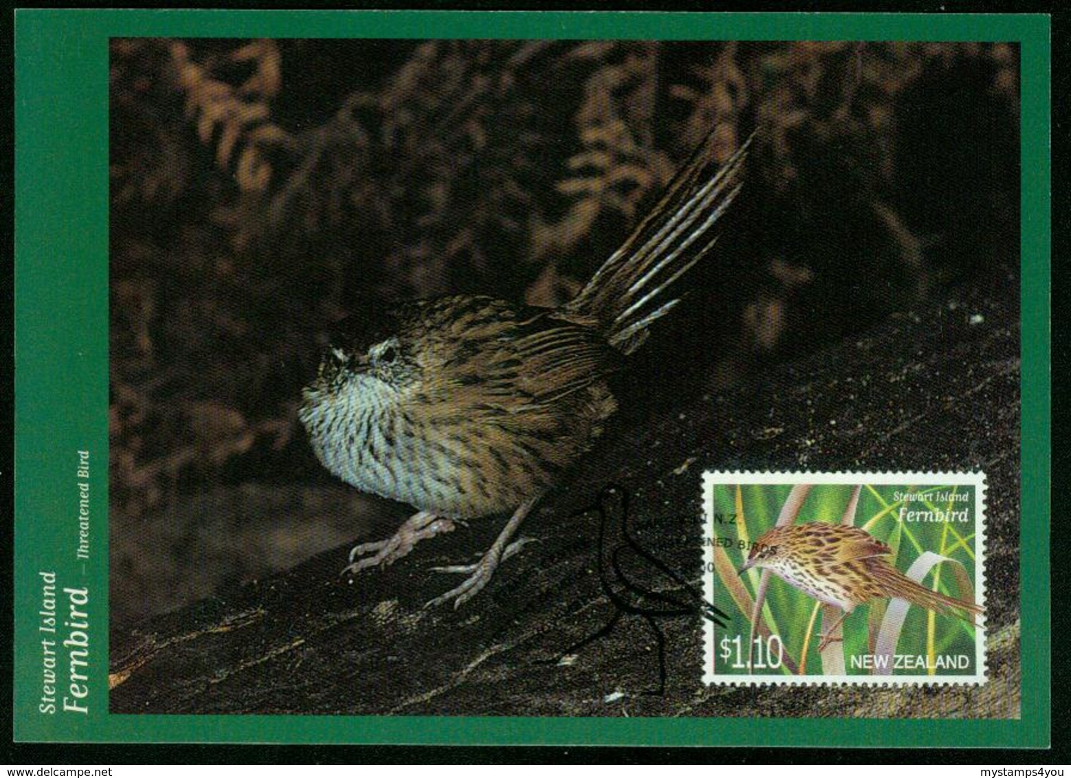 Mk New Zealand Maximum Card 2000 MiNr 1876 | Threatened Birds, Stewart Island Fernbird, Post Paid - FDC