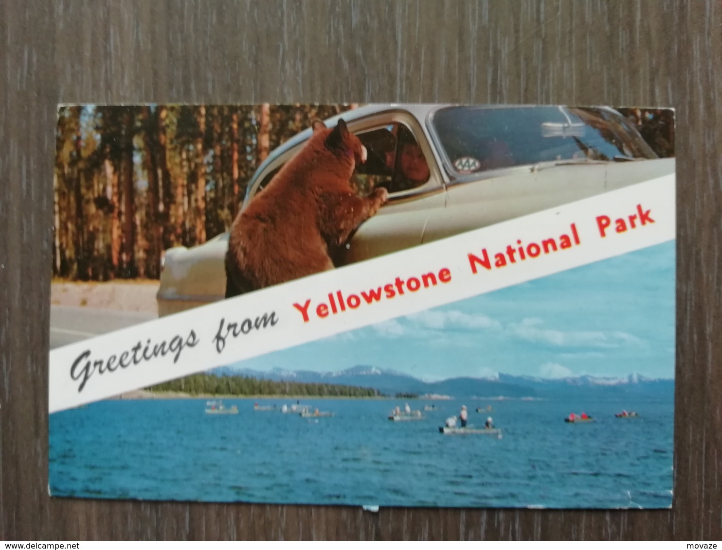 Greetings From Yellowstone - Yellowstone