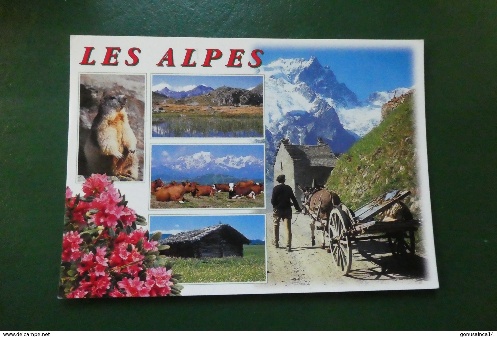 K 4 ) IMAGES DES ALPES - Rhône-Alpes