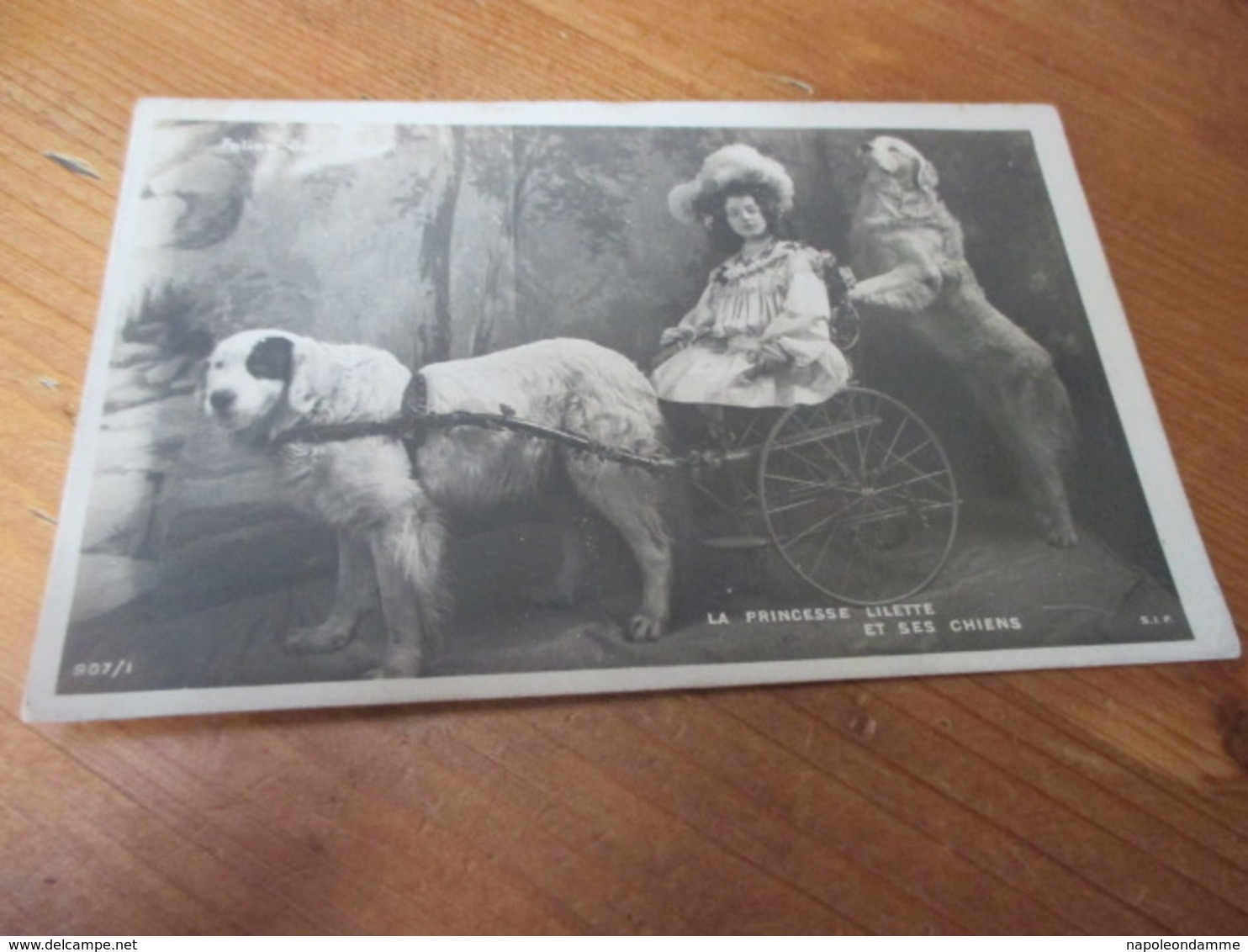 Fantasiekaart Hond, Dog, Hund,La Princesse Lilette Et Ses Chiens - Chiens