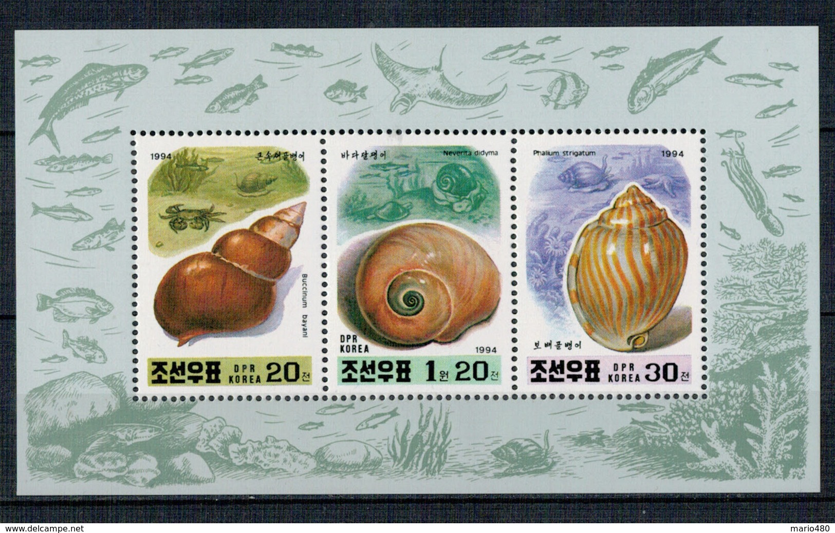 NORTH  KOREA   1994    MOLLUSCS     SHEET     WITH 3    STAMPS    MNH** - Corea Del Nord