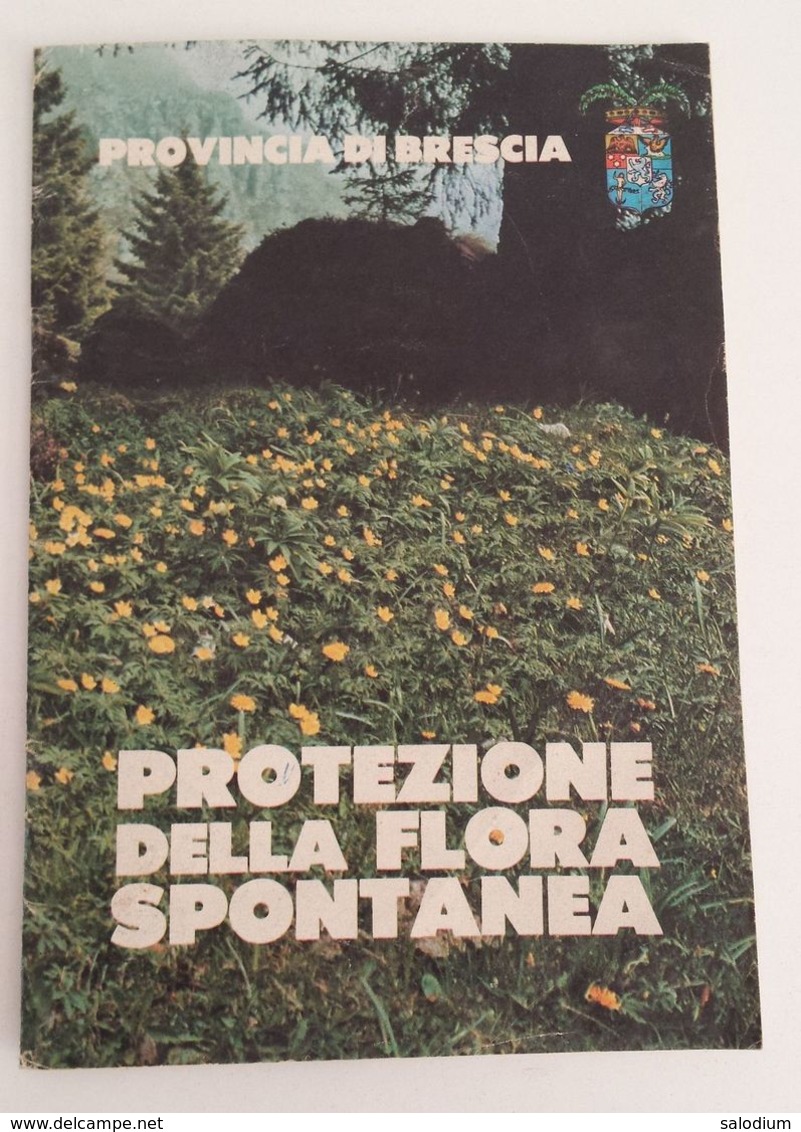 Provincia Di BRESCIA - Protezione Della Flora Spontanea - Fiore Flower - Altri & Non Classificati