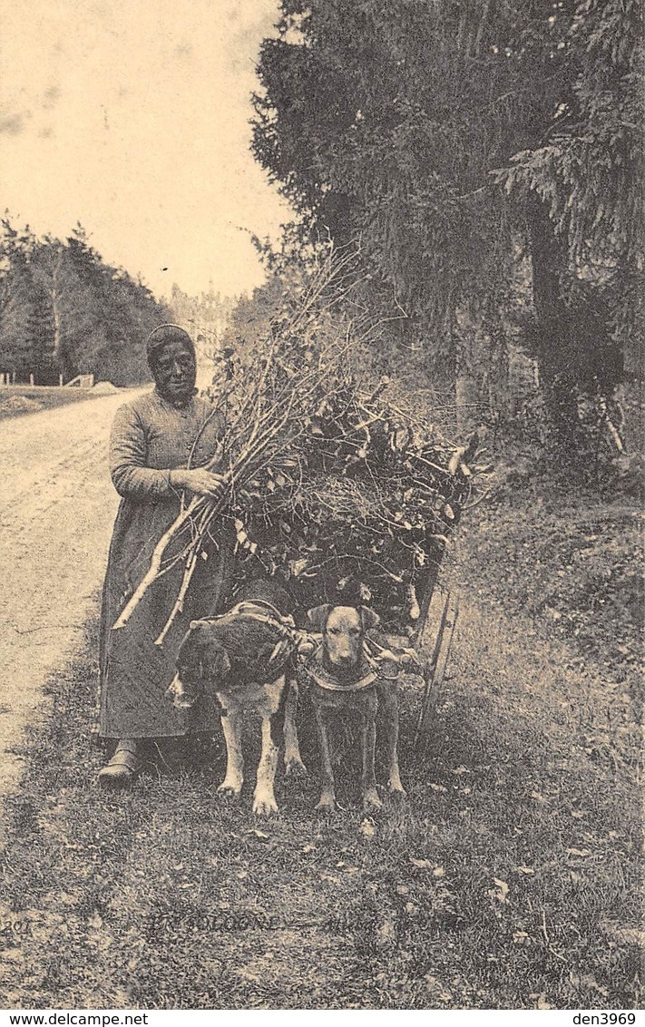 En SOLOGNE - Attelage De Chiens - Cecodi N'997 - Autres & Non Classés