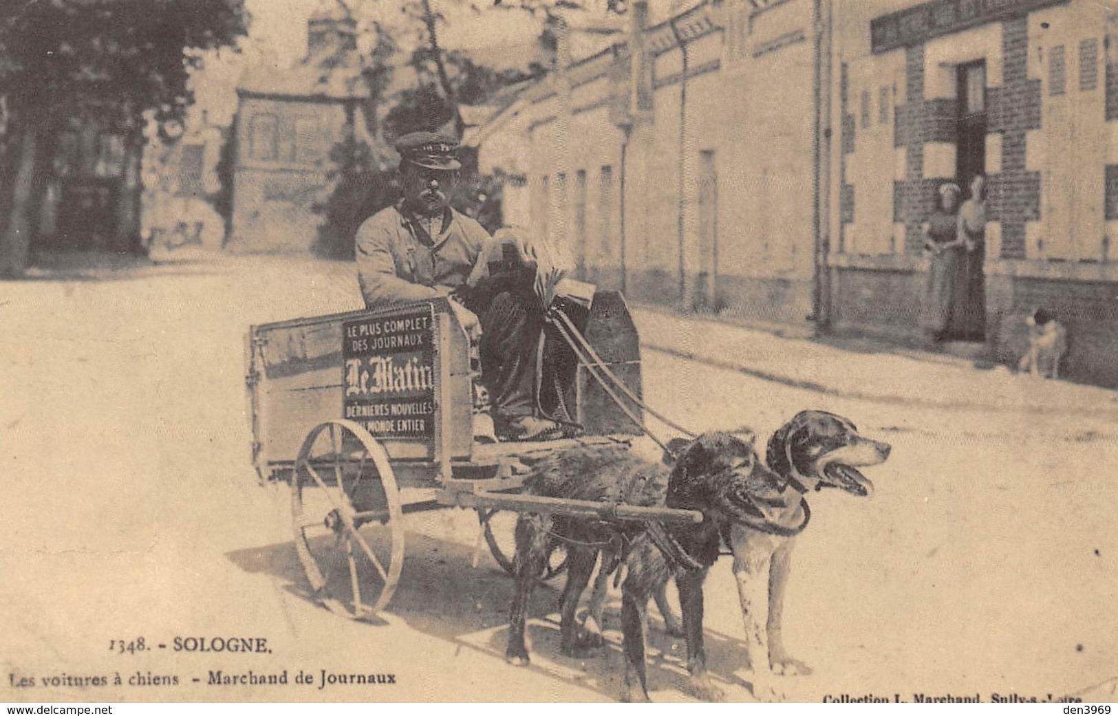 Sologne - Les Voitures à Chiens - Marchand De Journaux - Cecodi N'1257 - Autres & Non Classés