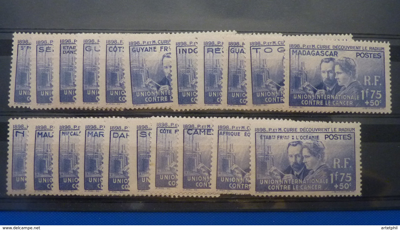 GRANDE SERIE COLONIES FRANCAISES - 1938 Pierre Et Marie Curie