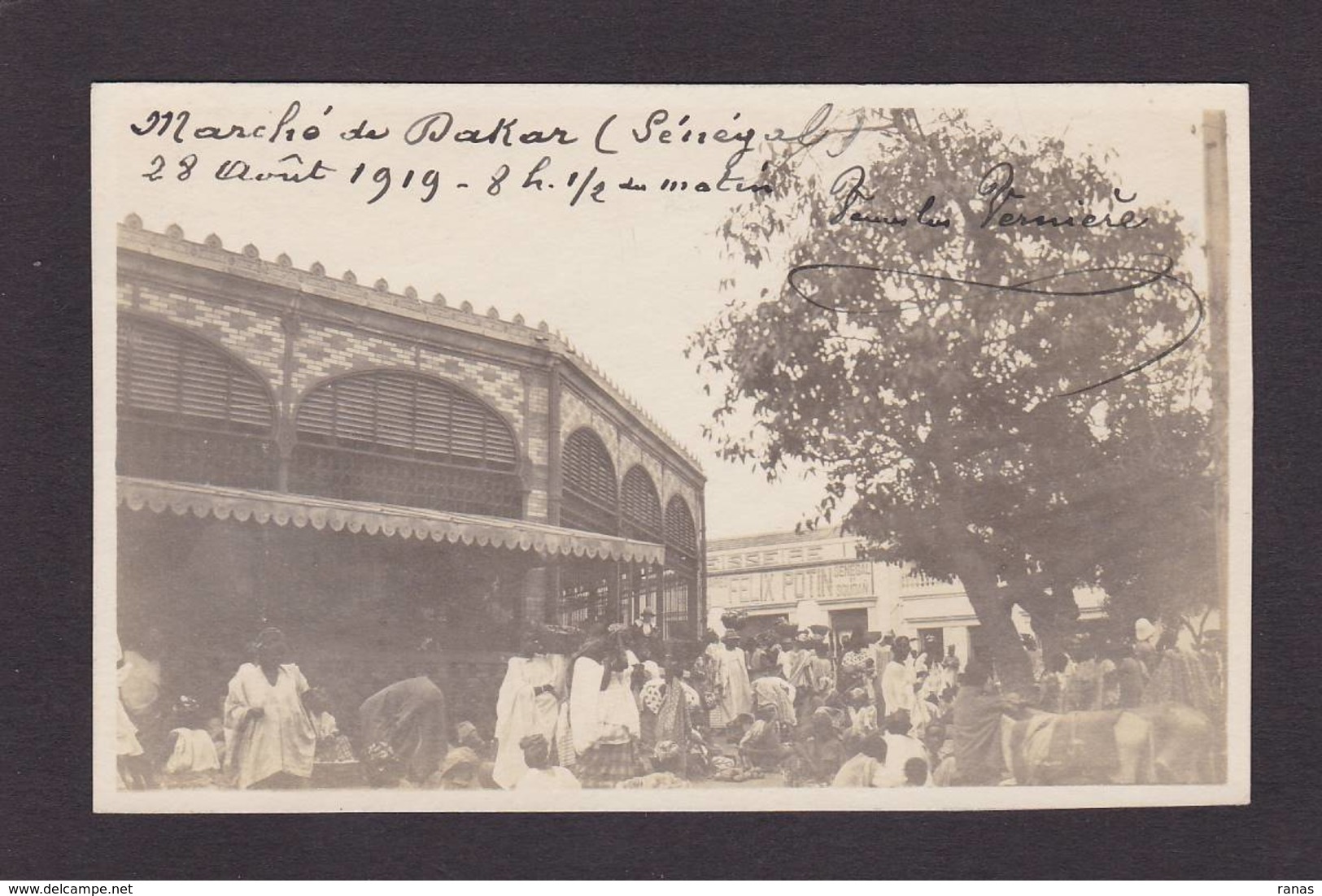 CPA Sénégal Afrique Noire Carte Photo RPPC écrite Voir Scan Du Dos Market - Senegal