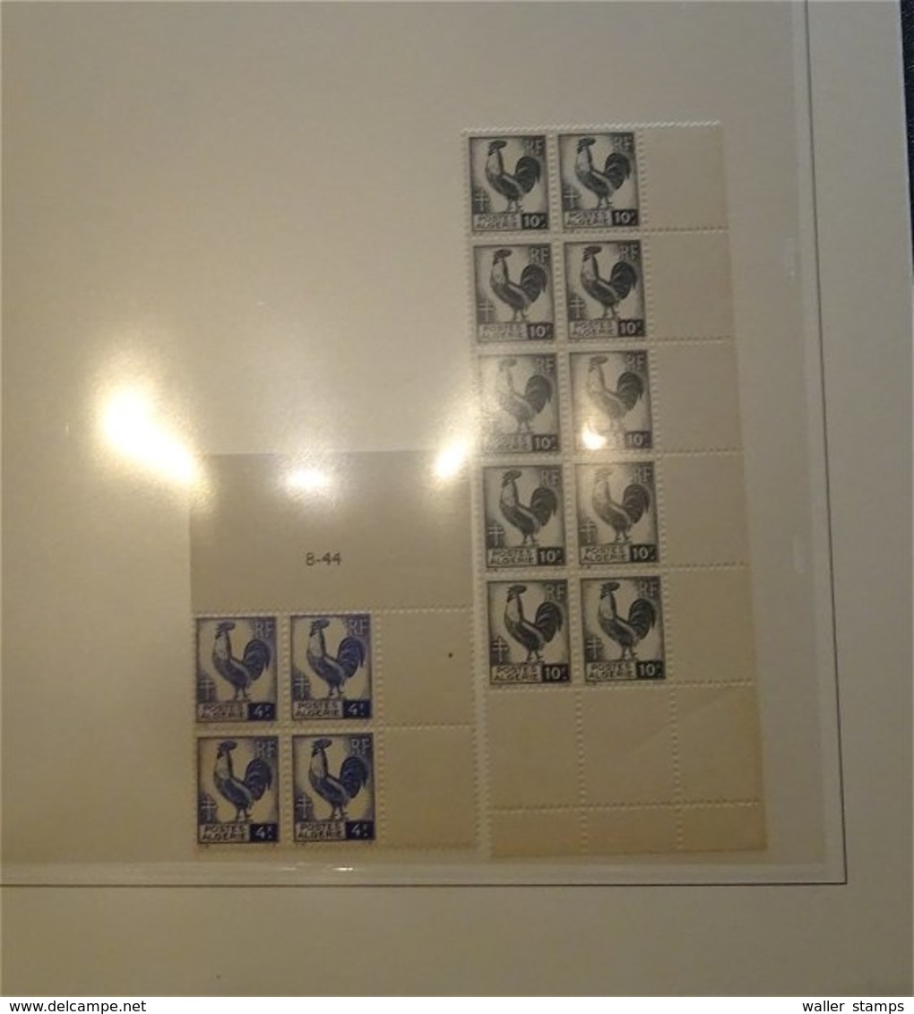 Lot With World Stamps In 12 Albums