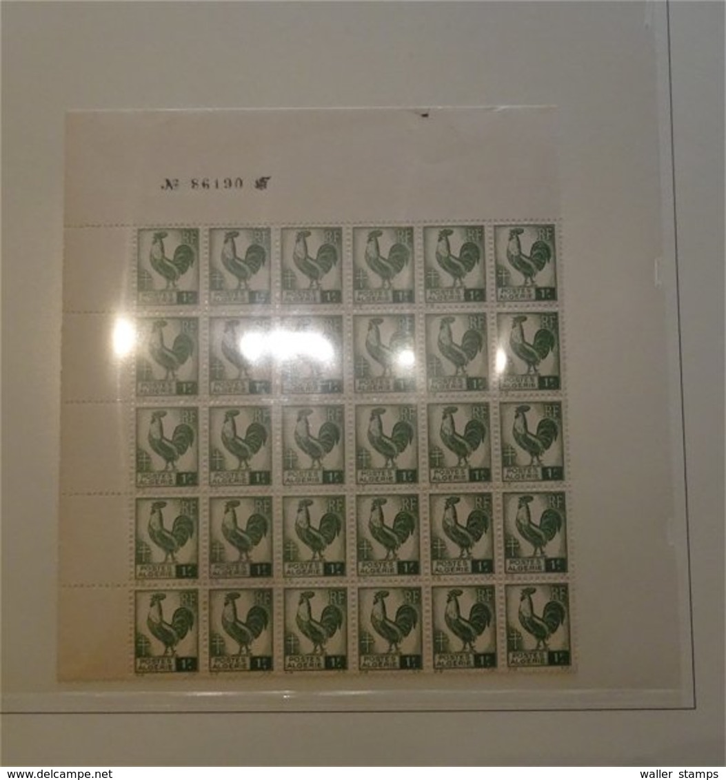 Lot With World Stamps In 12 Albums