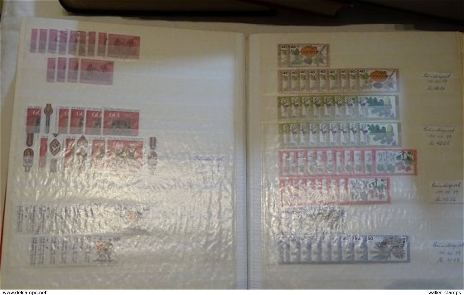 Lot With World Stamps In 12 Albums