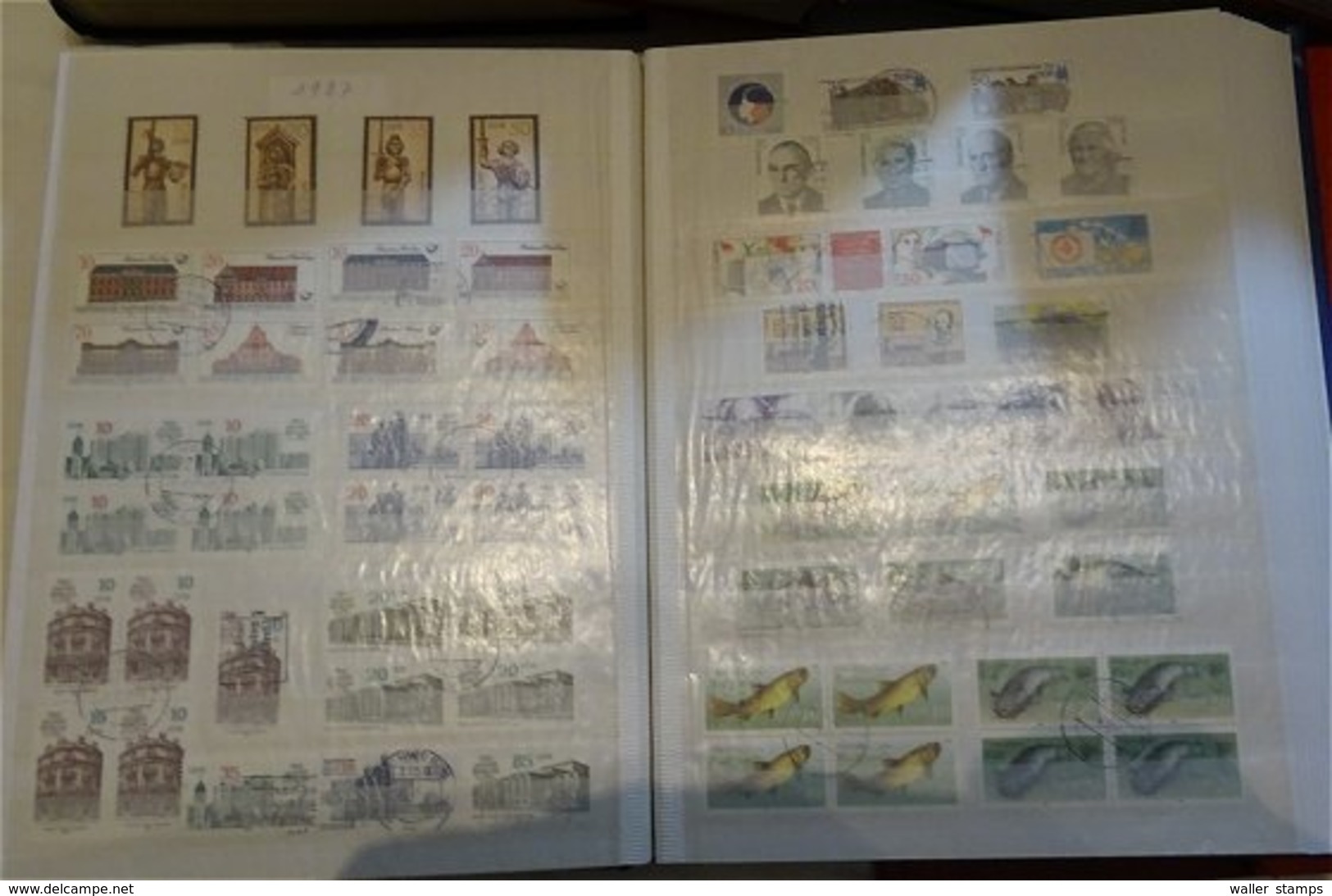 Lot With World Stamps In 12 Albums