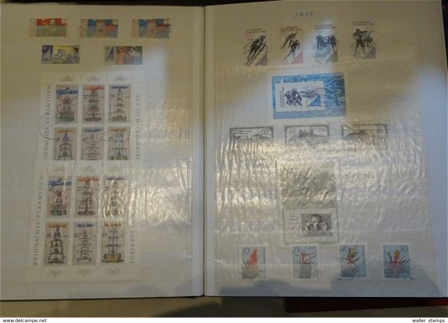 Lot With World Stamps In 12 Albums