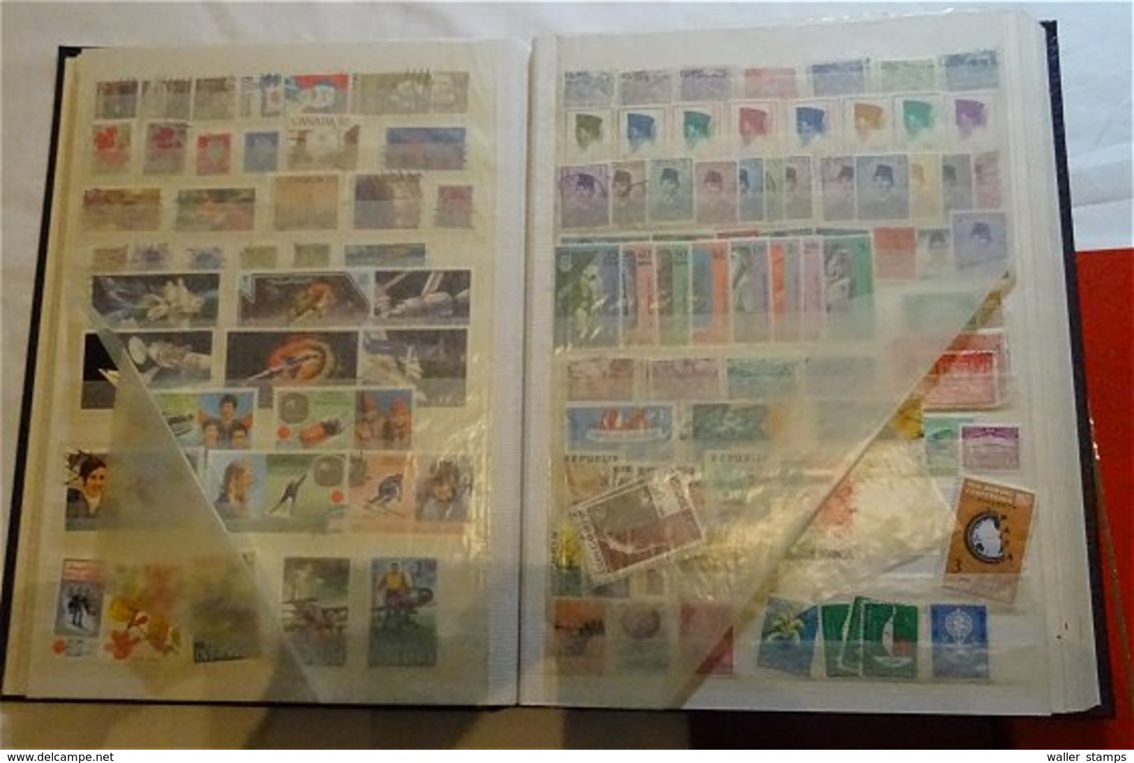 Lot With World Stamps In 12 Albums