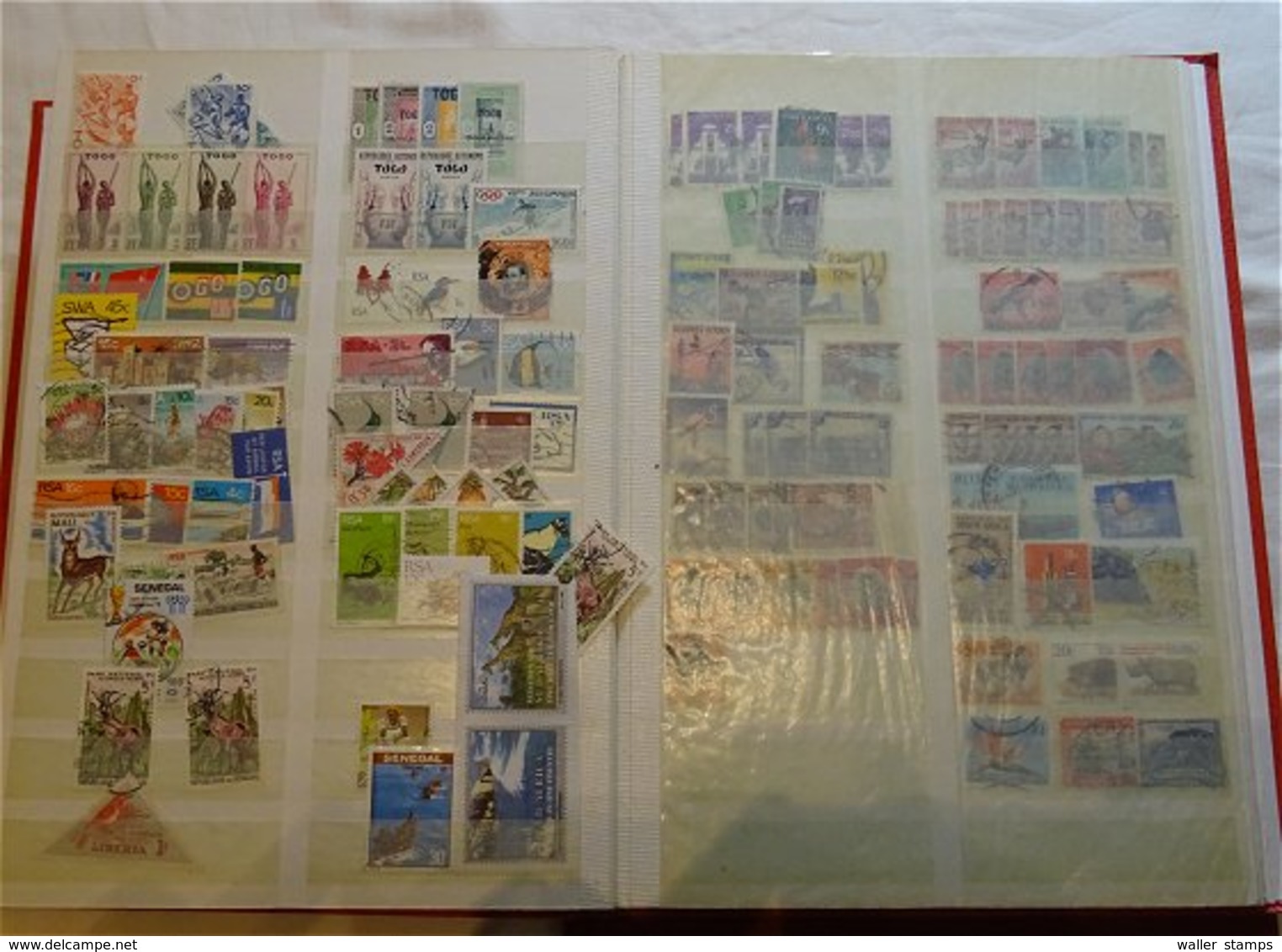 Lot With World Stamps In 12 Albums