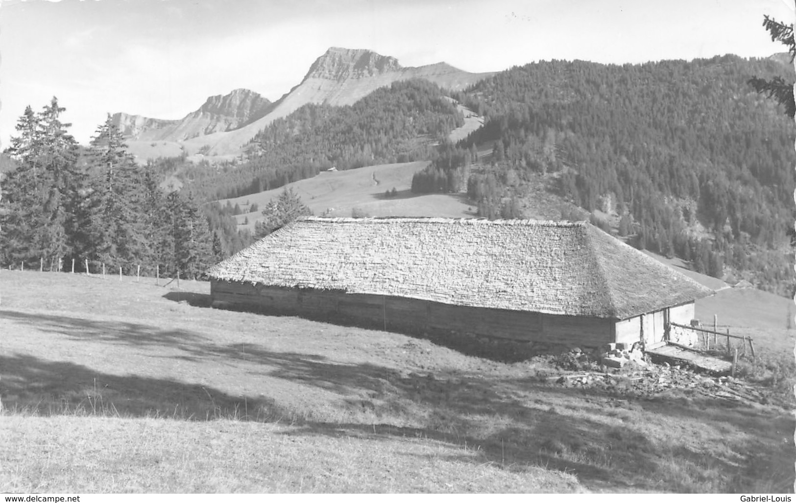 Les Paccots Châtel St Denis A Corbetta - Châtel-Saint-Denis