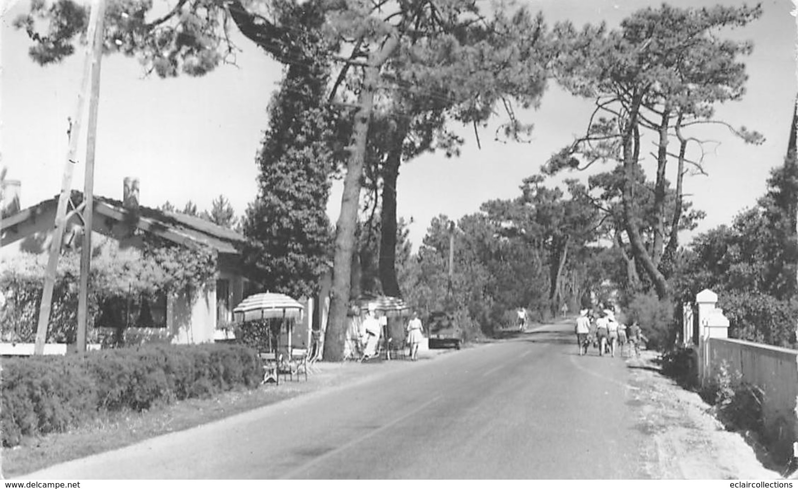 Ile De Ré.    17       Rivedoux   Le Puray     (voir Scan) - Ile De Ré