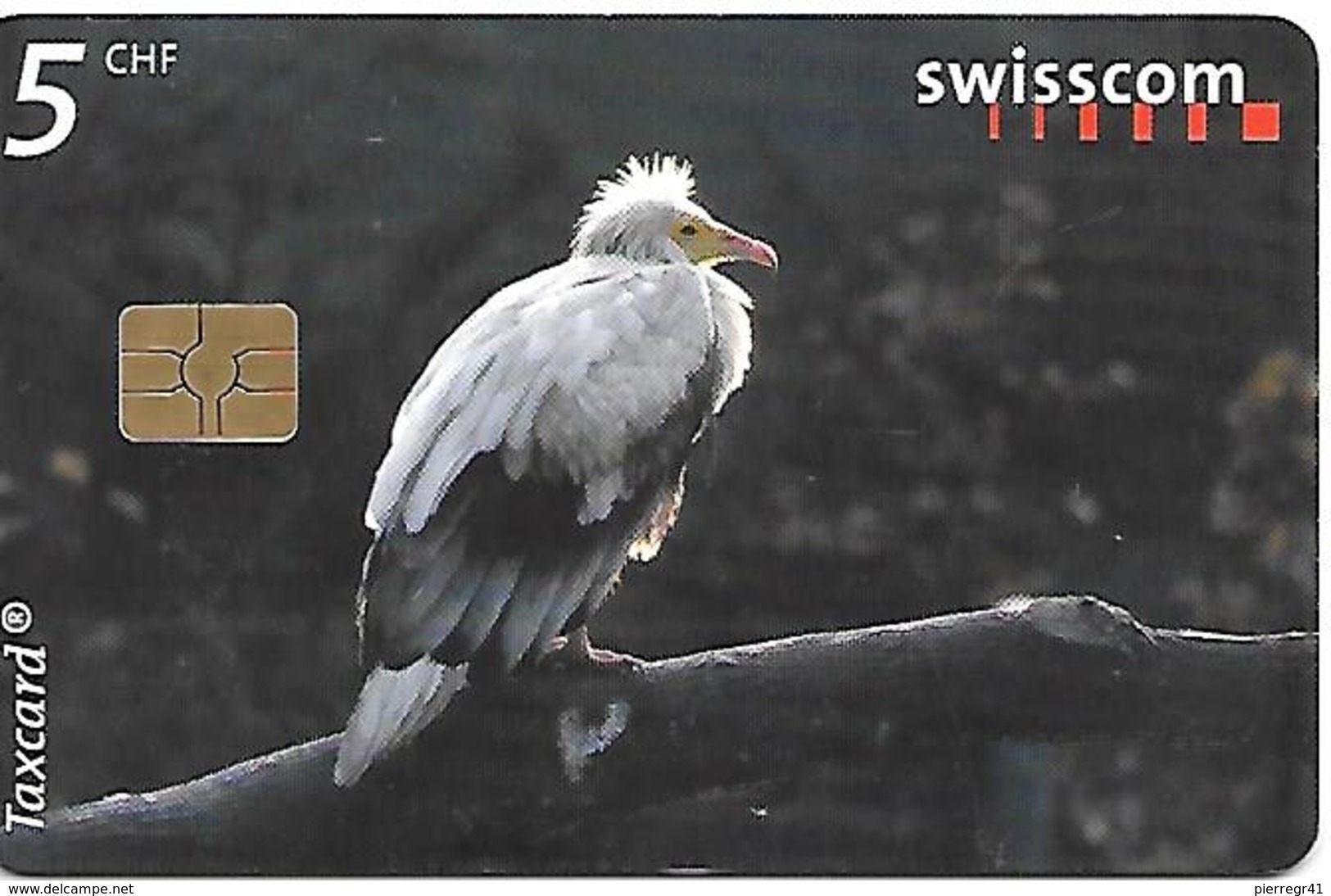 CARTE-PUCE-SUISSE-5CHF-VAUTOUR Percnoptere-TBE - Eagles & Birds Of Prey