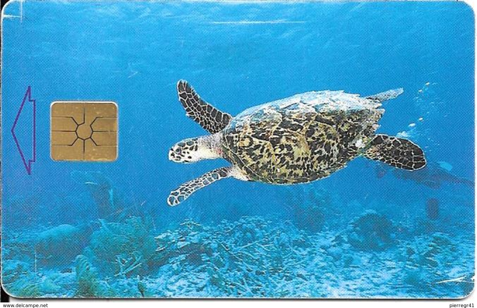 CARTE-PUCE-ANTILLES NL-BONAIRES--ETAT COURANT-RARE - Turtles