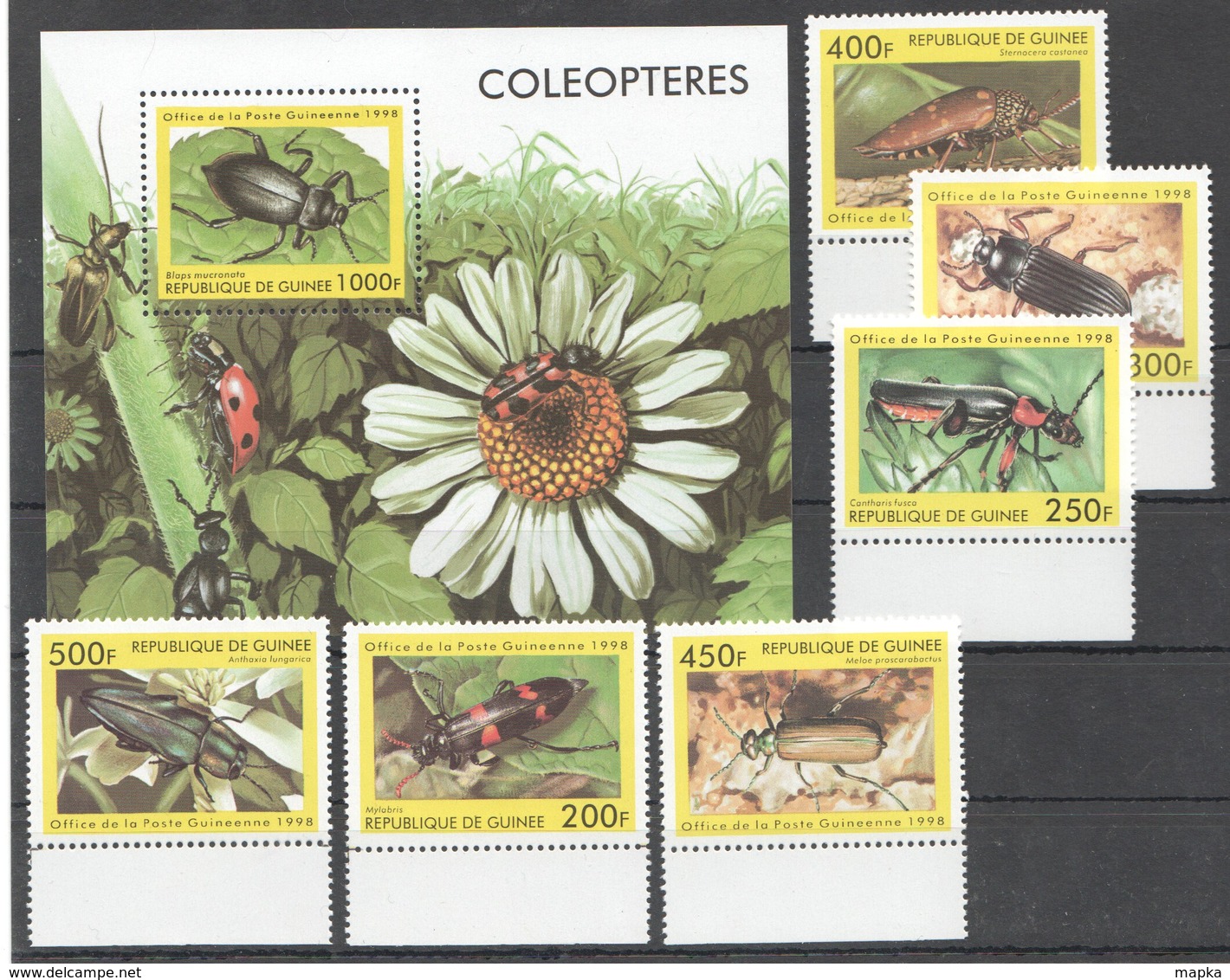 E287 1998 REPUBLIQUE DE GUINEE INSECTS COLEOPTERES 1BL+1SET MNH - Other & Unclassified