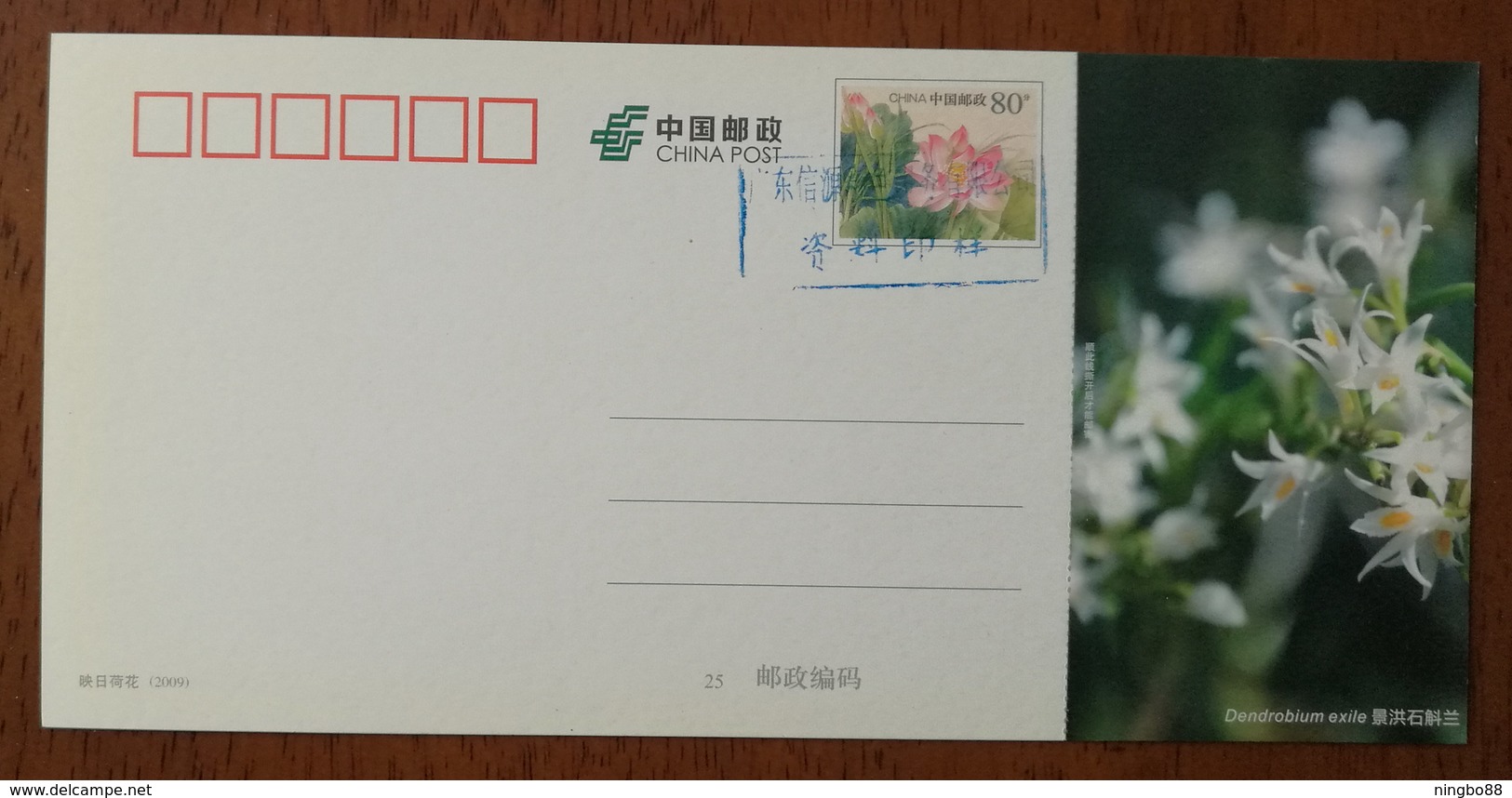 Dendrobium Exile Schltr.,China 2013 Magical Xishuangbanna Wild Orchid Advertising Pre-stamped Card,specimen Overprint - Orchids