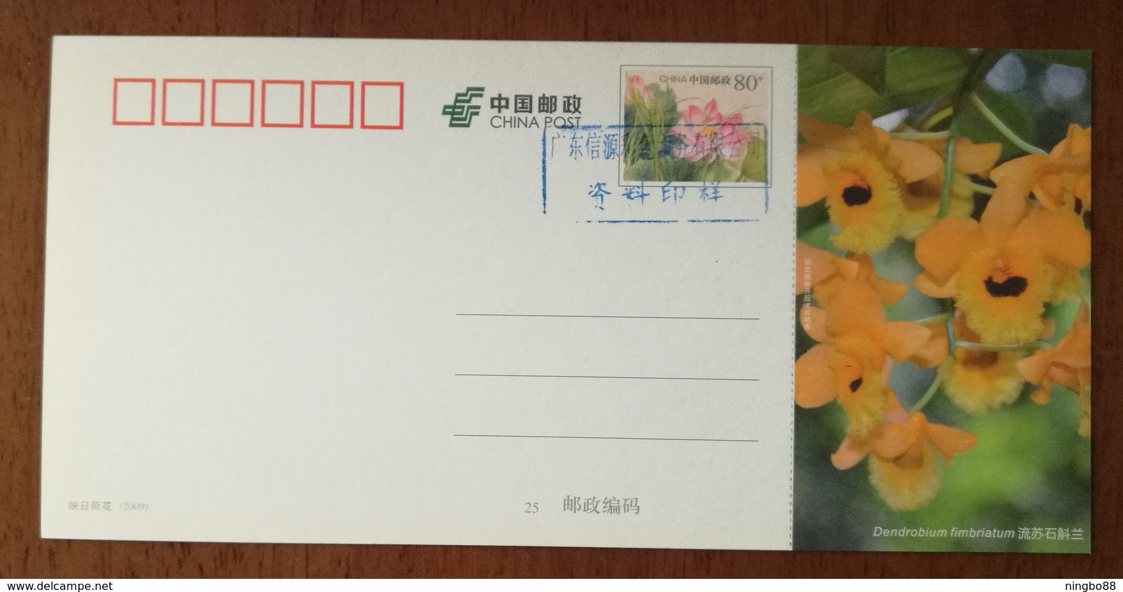 Dendrobium Fimbriatum Hook.,China 2013 Magical Xishuangbanna Wild Orchid Advertising Pre-stamped Card,specimen Overprint - Orchids